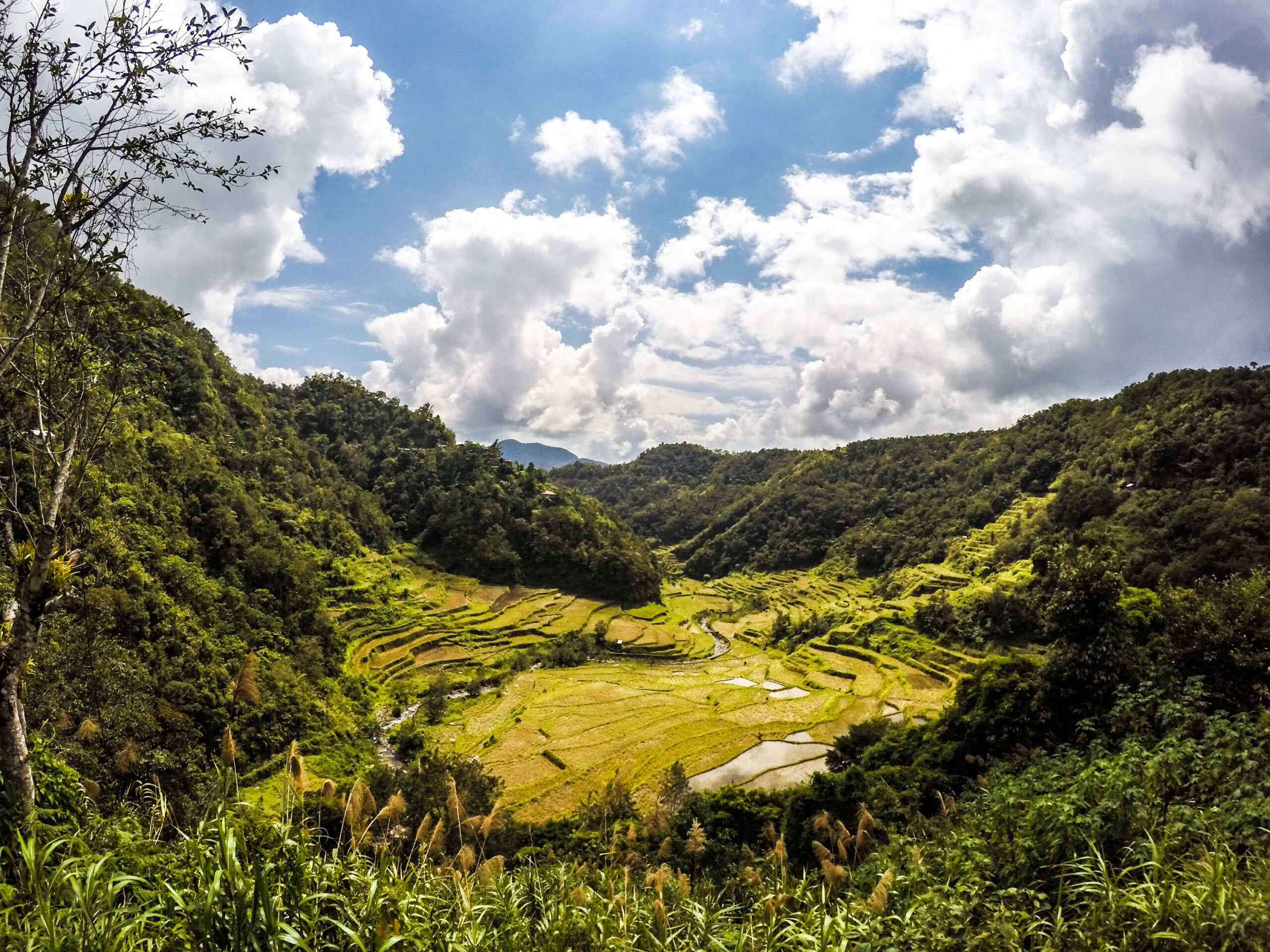 Travel Guide: Trek in Banaue’s famous Rice Terraces (Ifugao, Philippines)